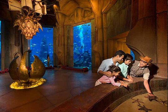 Tour image 4